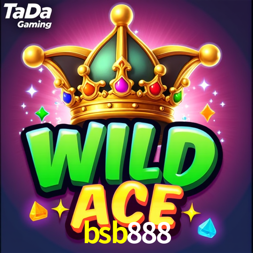 bsb888 App Interface